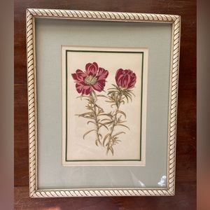 Framed Botanical watercolor & pencil Original Art. Vintage. 8.6" x 10.75"‎